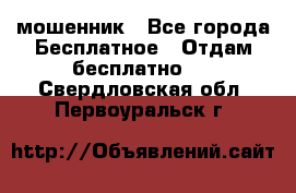 мошенник - Все города Бесплатное » Отдам бесплатно   . Свердловская обл.,Первоуральск г.